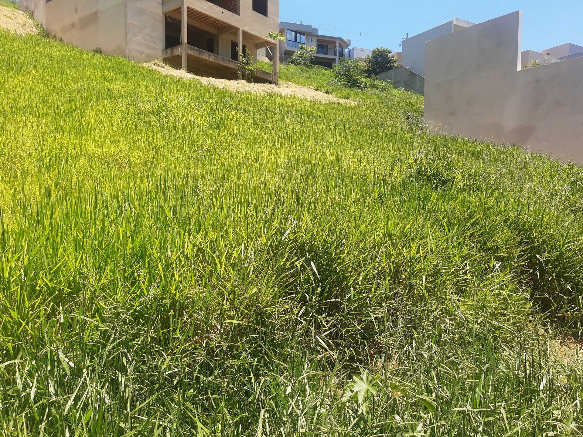 Terreno, 605 m² - Foto 6