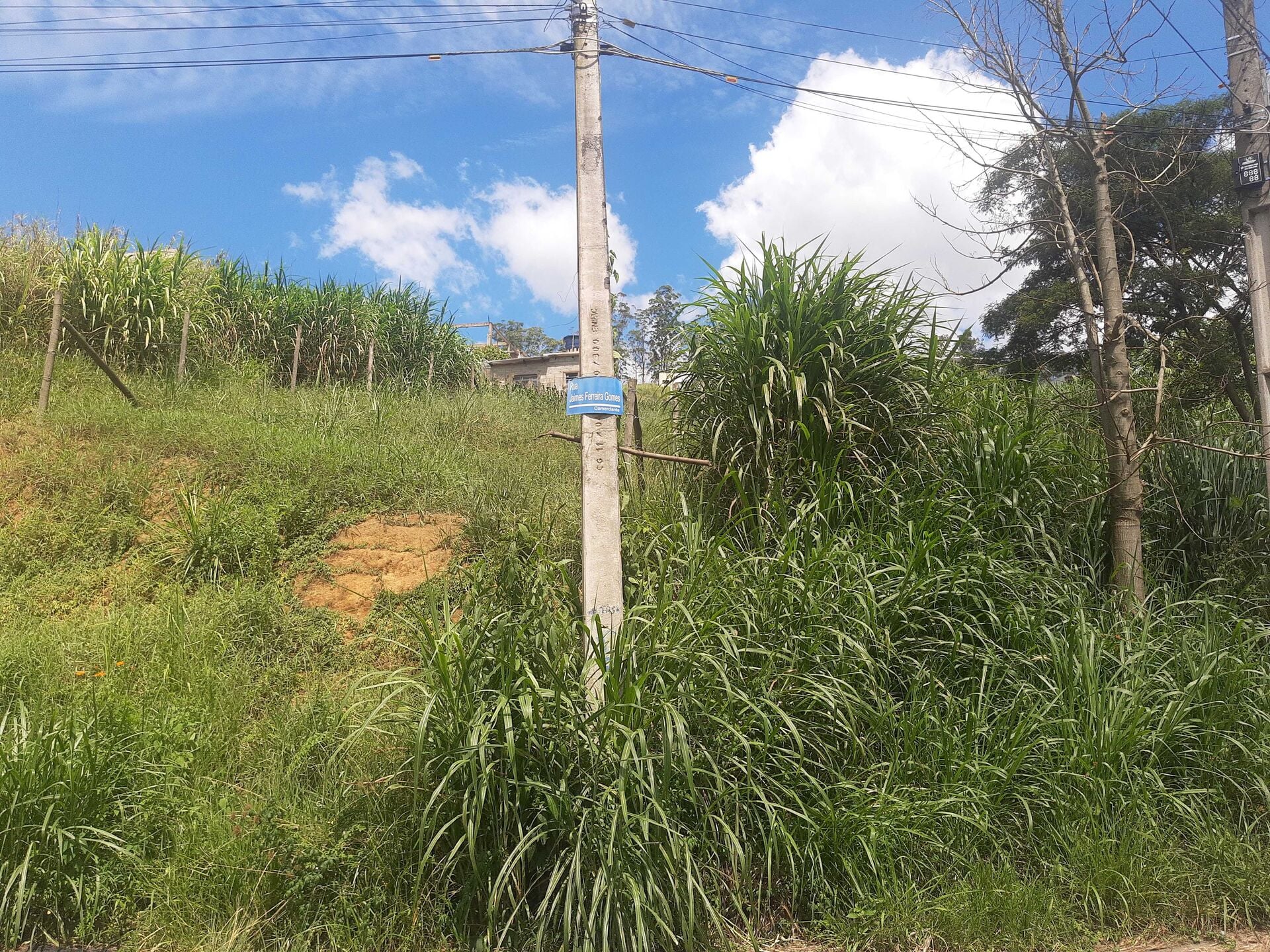 Terreno, 276 m² - Foto 5