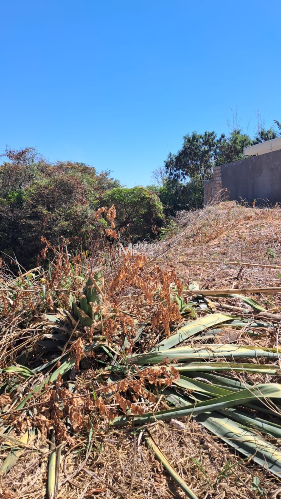 Terreno, 360 m² - Foto 4