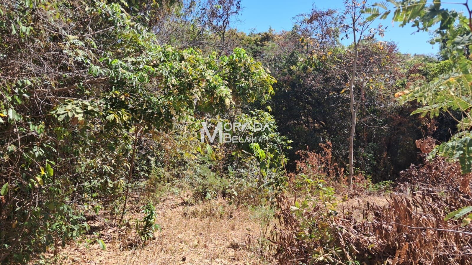 Terreno, 360 m² - Foto 4