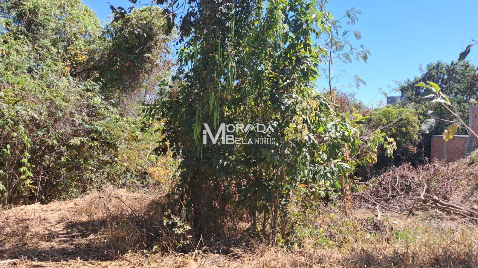 Terreno, 360 m² - Foto 5