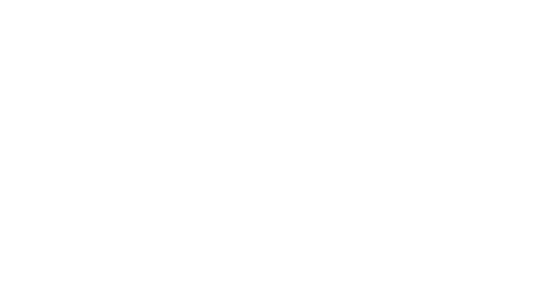 Alexandre Henrique da Silva de Paulo