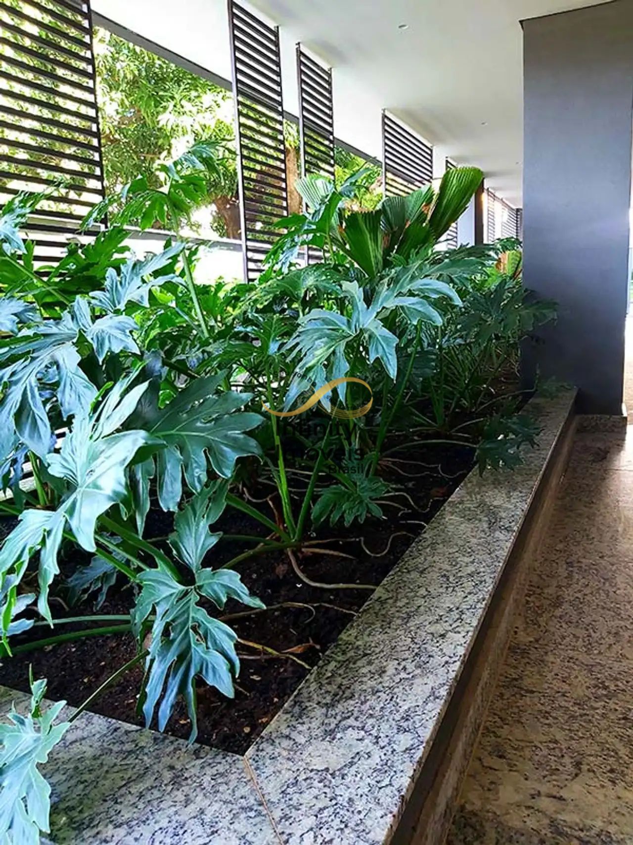 Apartamento, 3 quartos, 74 m² - Foto 49
