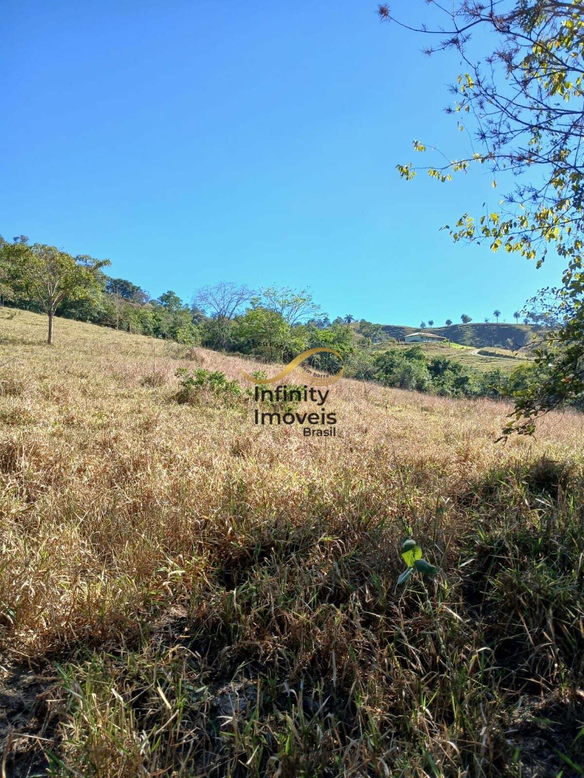 Terreno, 2 hectares - Foto 25