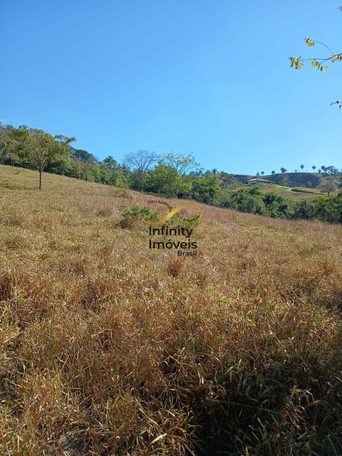 Terreno, 2 hectares - Foto 21