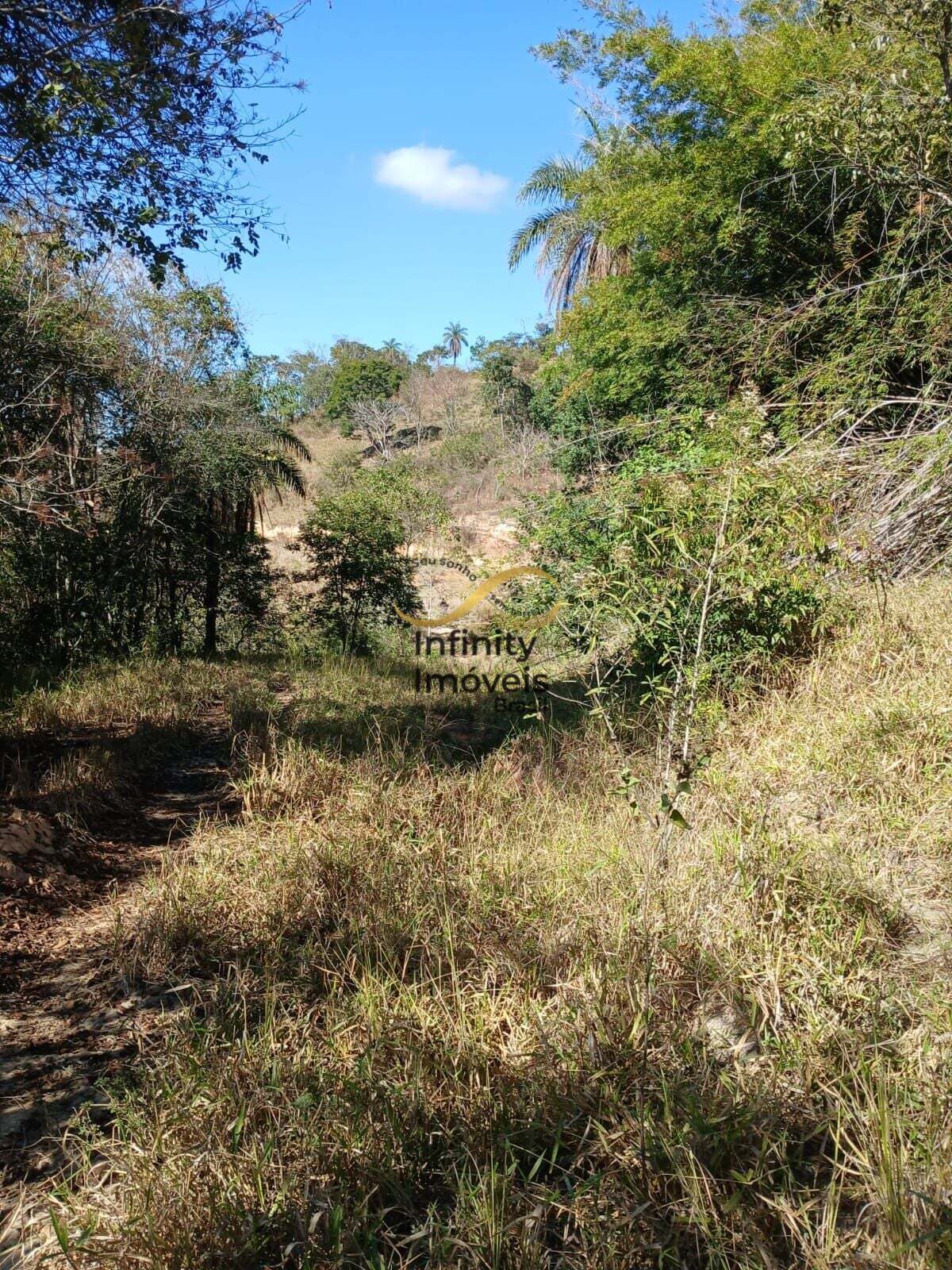 Terreno, 2 hectares - Foto 19