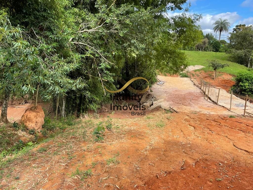 Sítio, 3 quartos, 8000 m² - Foto 8