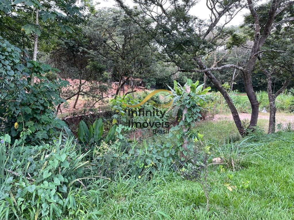 Sítio, 3 quartos, 8000 m² - Foto 12
