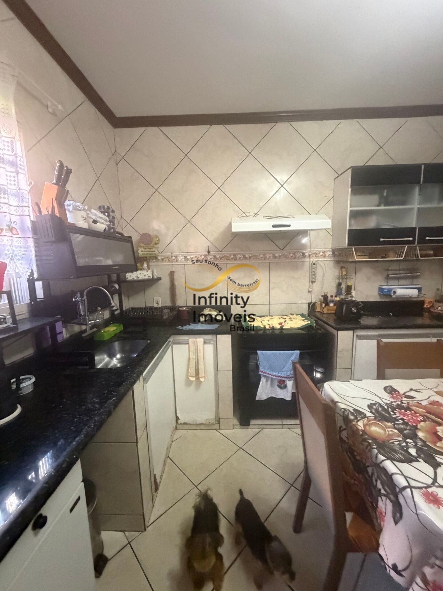 Casa, 5 quartos, 360 m² - Foto 22