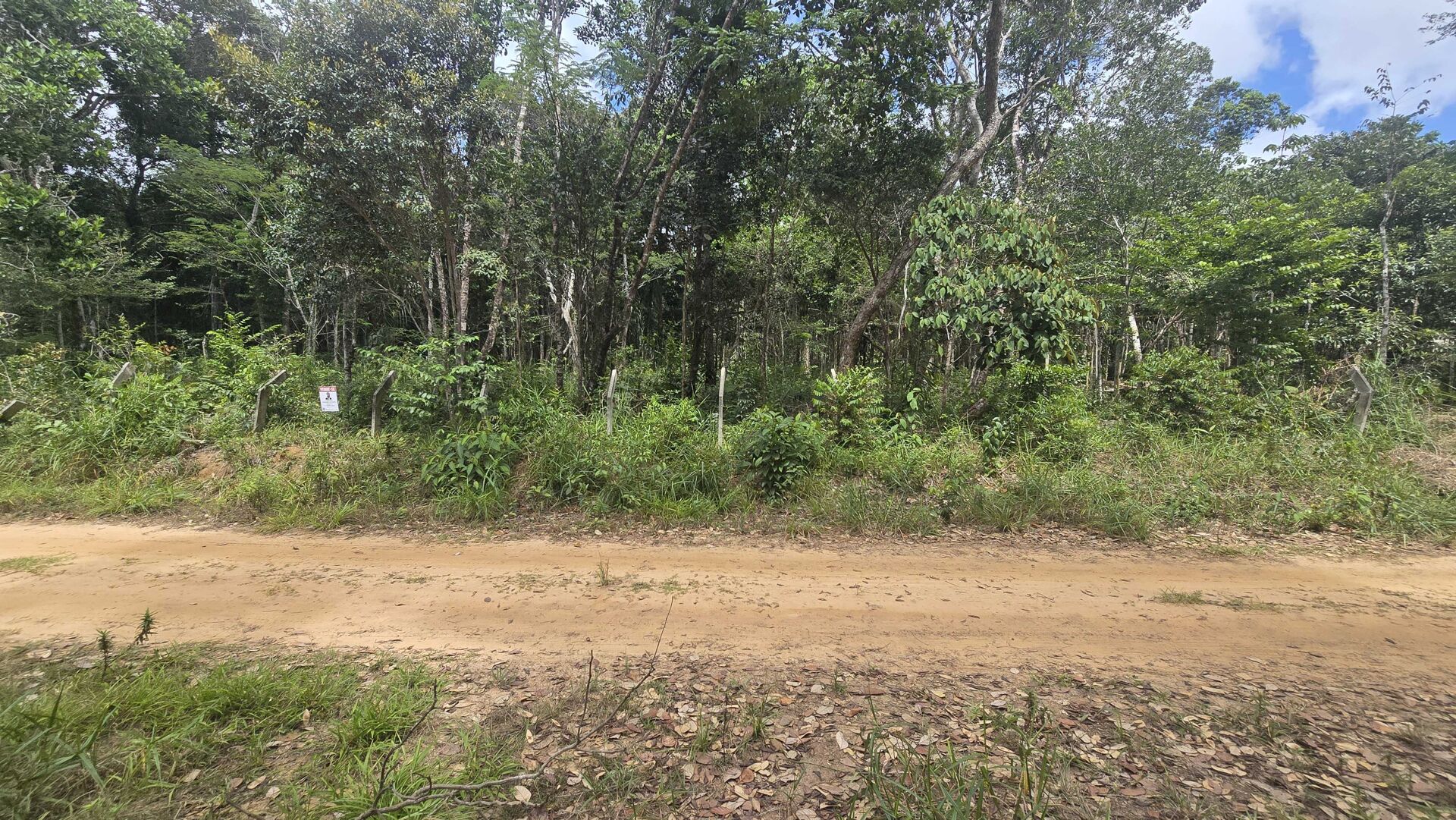 Terreno, 2025 m² - Foto 4