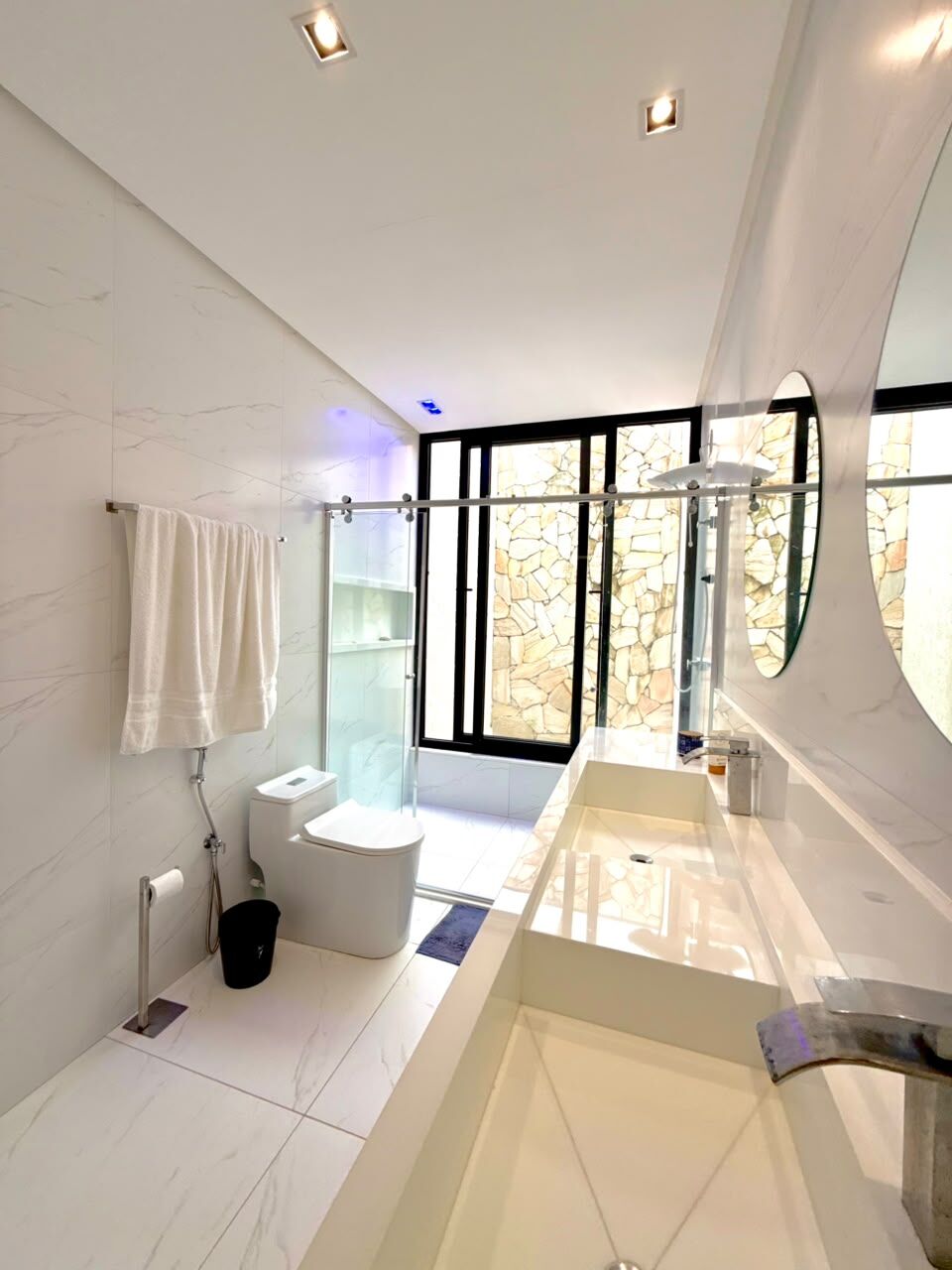 Casa, 5 quartos, 520 m² - Foto 30