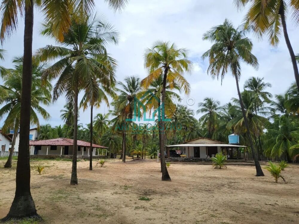 Chácara, 5 hectares - Foto 4