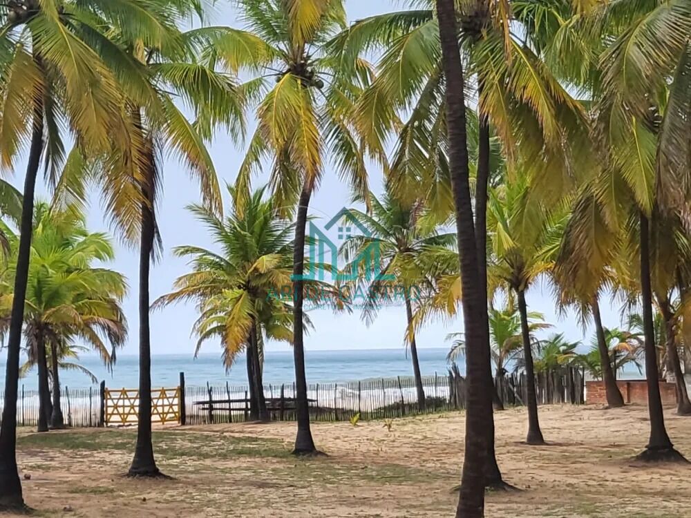 Chácara, 5 hectares - Foto 1
