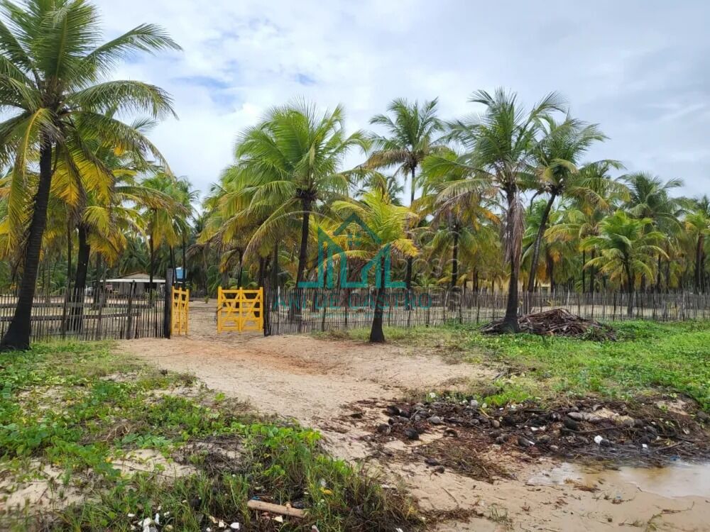 Chácara, 5 hectares - Foto 6