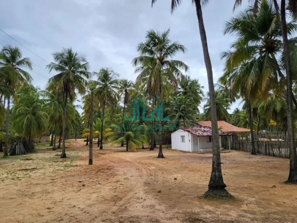 Chácara, 5 hectares - Foto 7