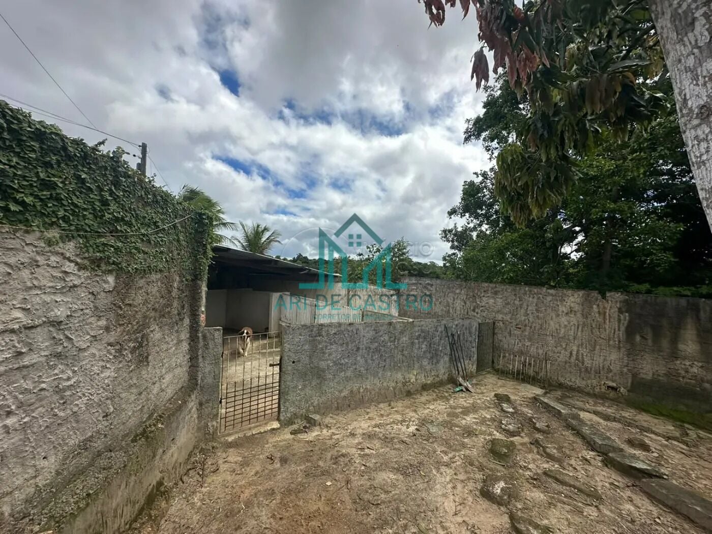 Casa, 3 quartos, 360 m² - Foto 34