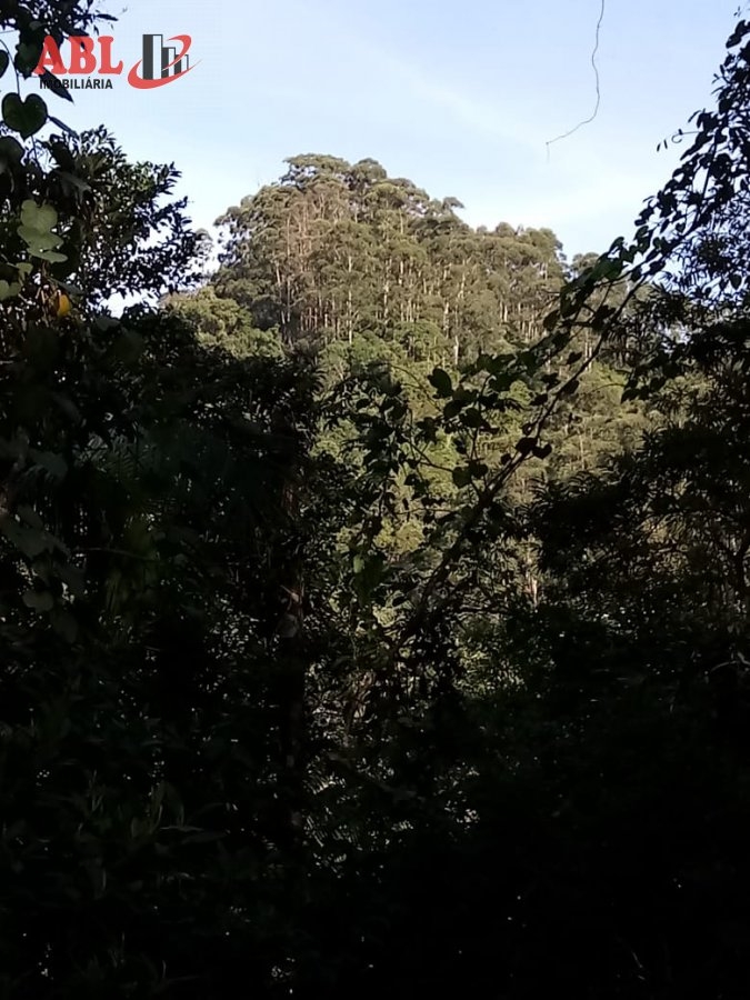 Imagem principal do imóvel