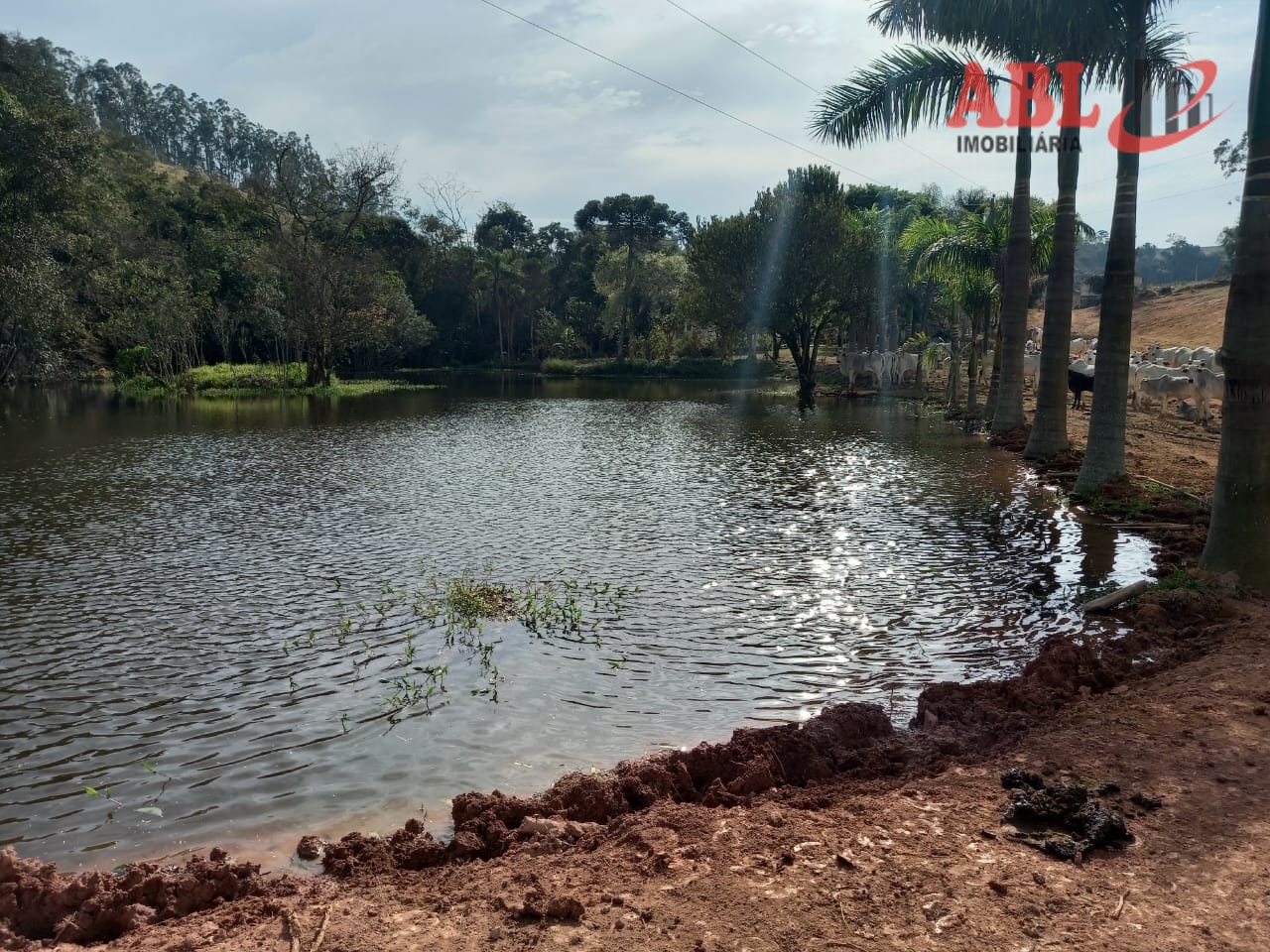 Imagem principal do imóvel