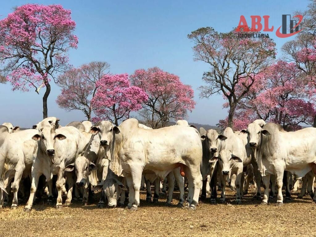 Imagem principal do imóvel