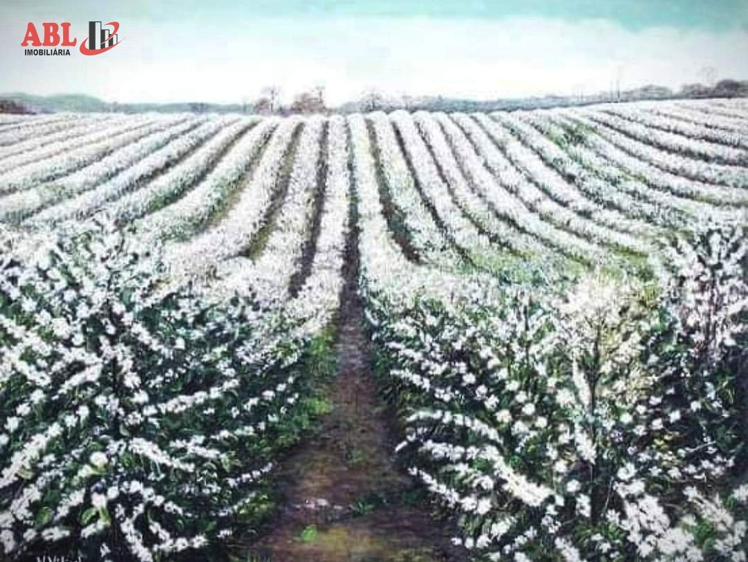 Imagem principal do imóvel