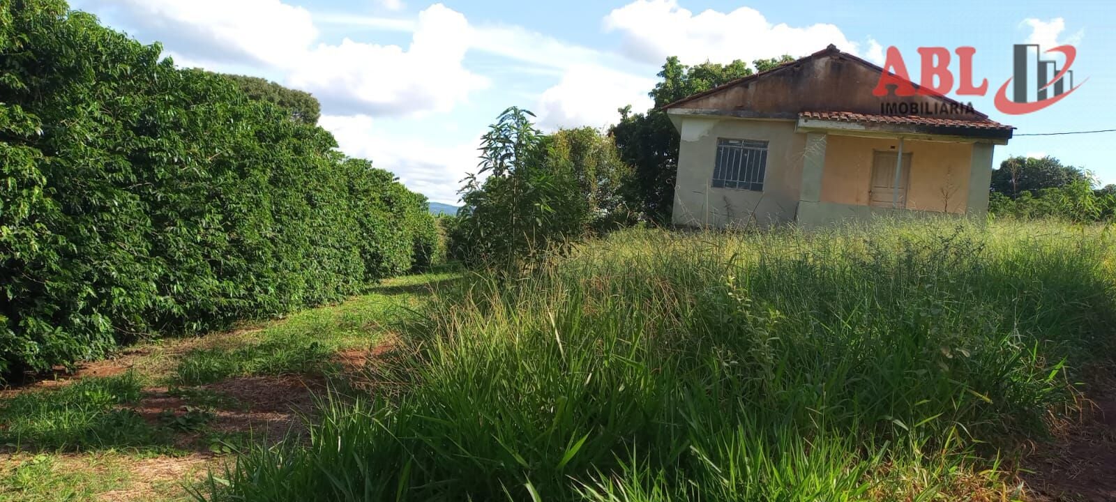 Imagem principal do imóvel