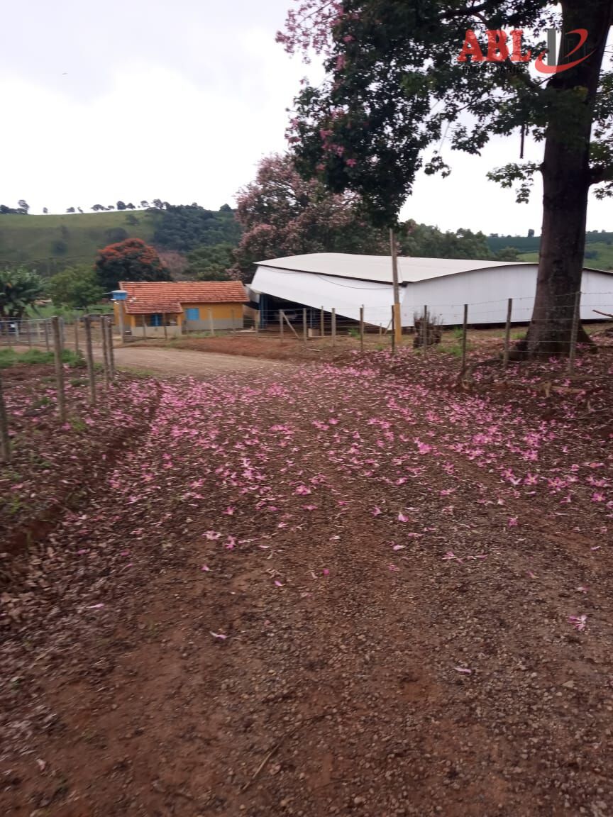 Imagem principal do imóvel