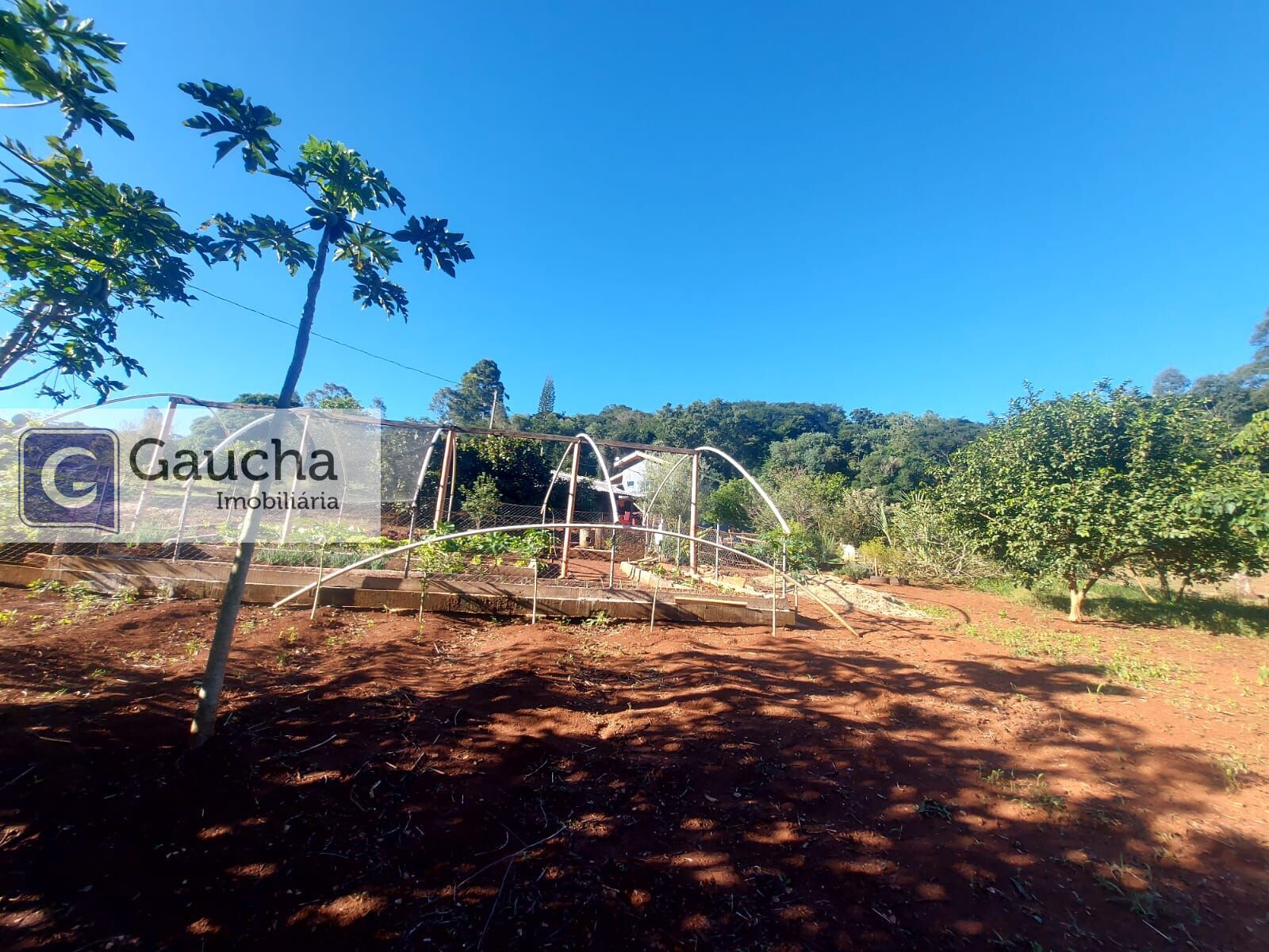 Fazenda à venda em Centro, Santa Maria do Oeste — Portal Chave Fácil