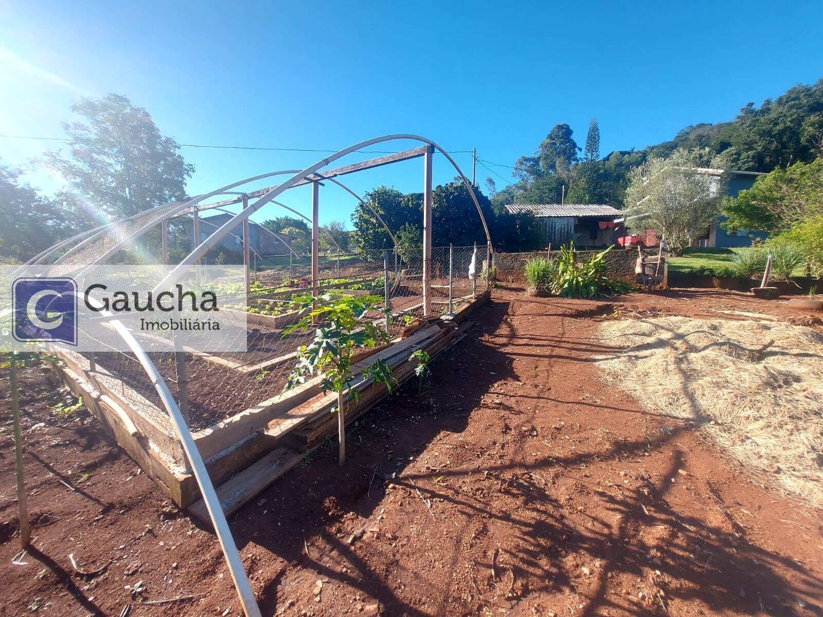 Fazenda à venda em Centro, Santa Maria do Oeste — Portal Chave Fácil