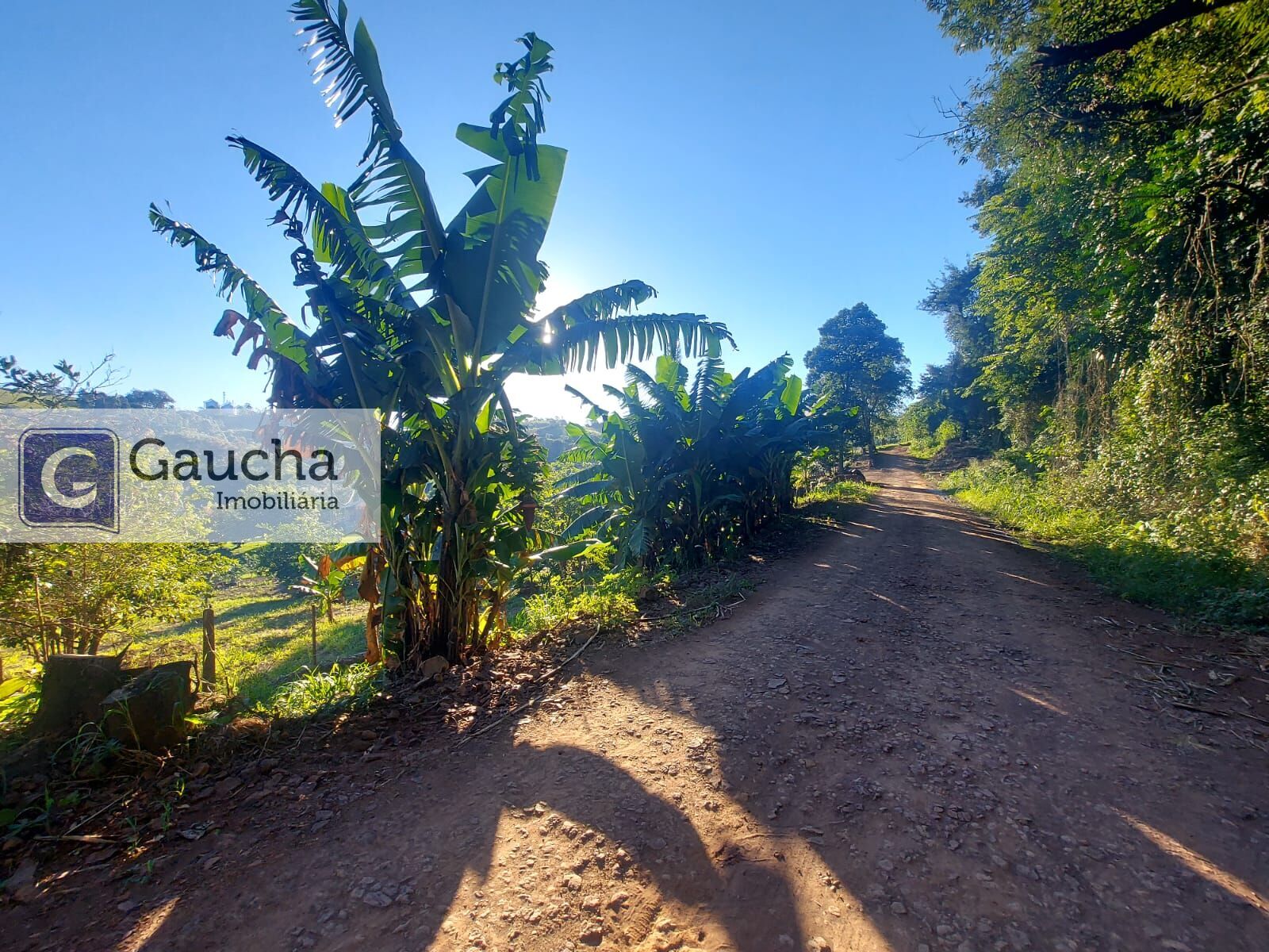 Fazenda à venda em Centro, Santa Maria do Oeste — Portal Chave Fácil