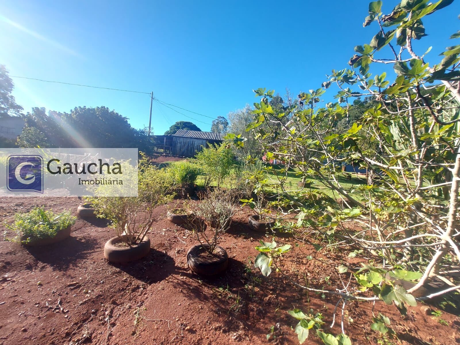 Fazenda à venda em Centro, Santa Maria do Oeste — Portal Chave Fácil