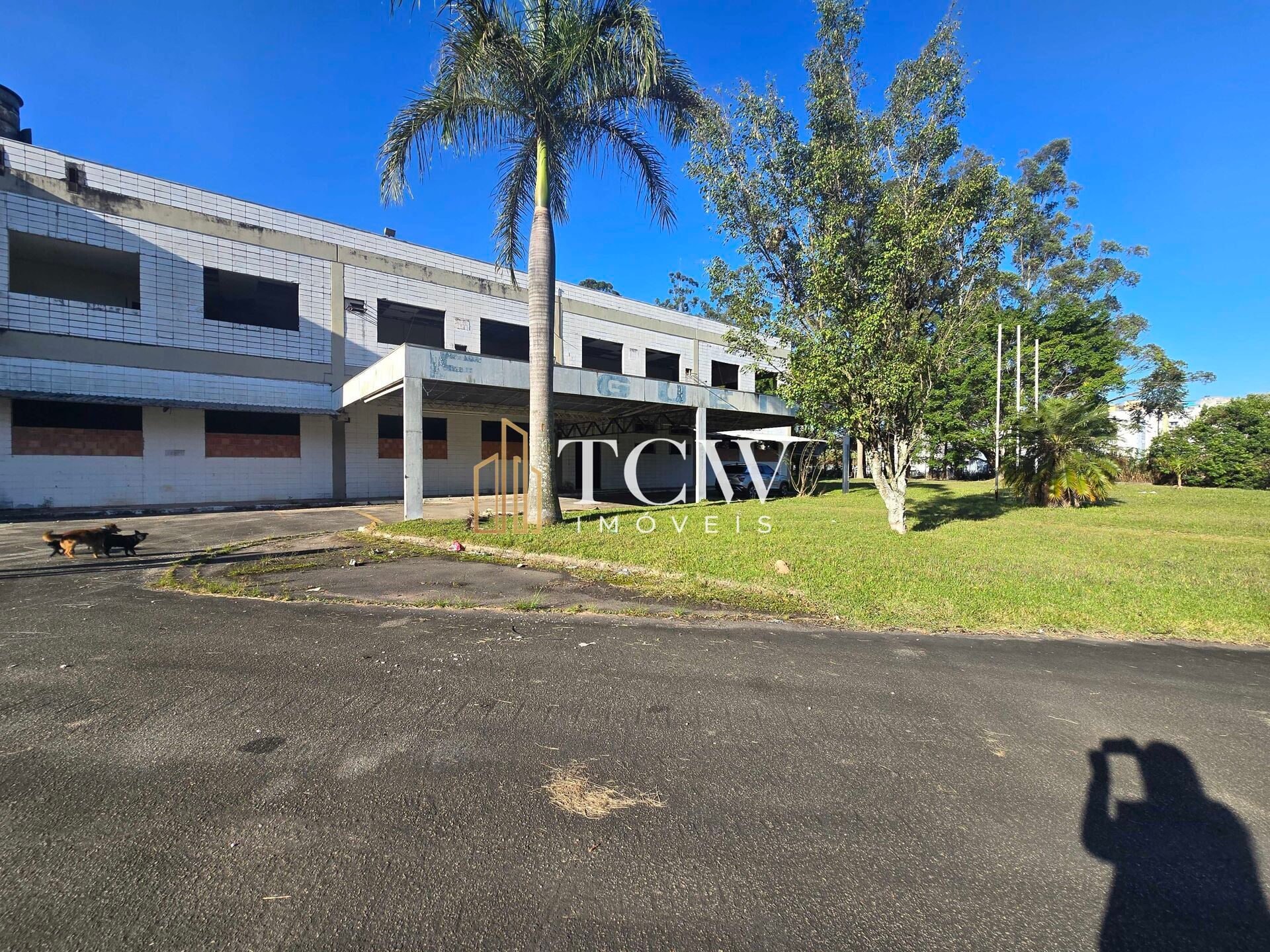 Depósito-Galpão, 22000 m² - Foto 6