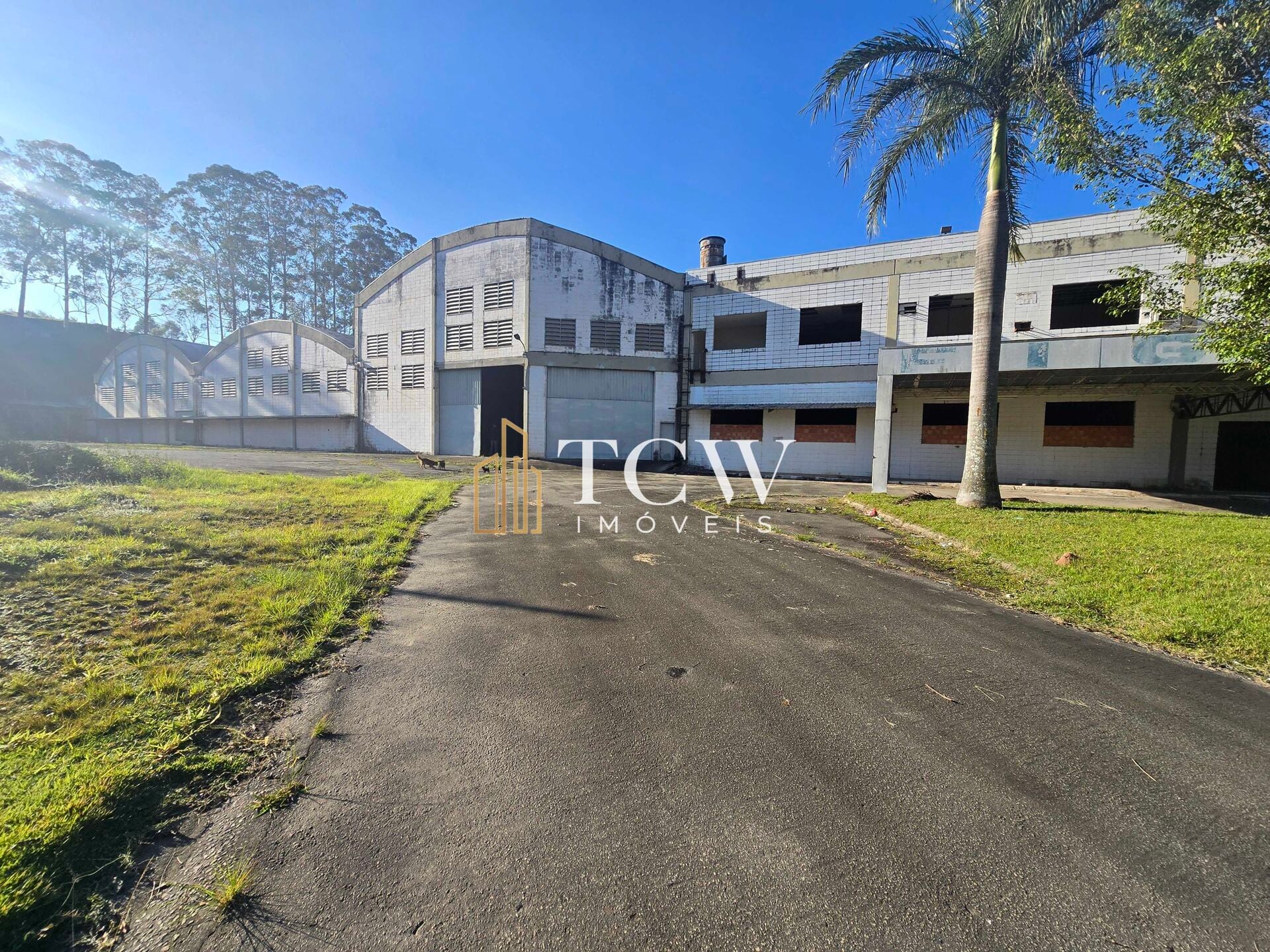 Depósito-Galpão, 22000 m² - Foto 5