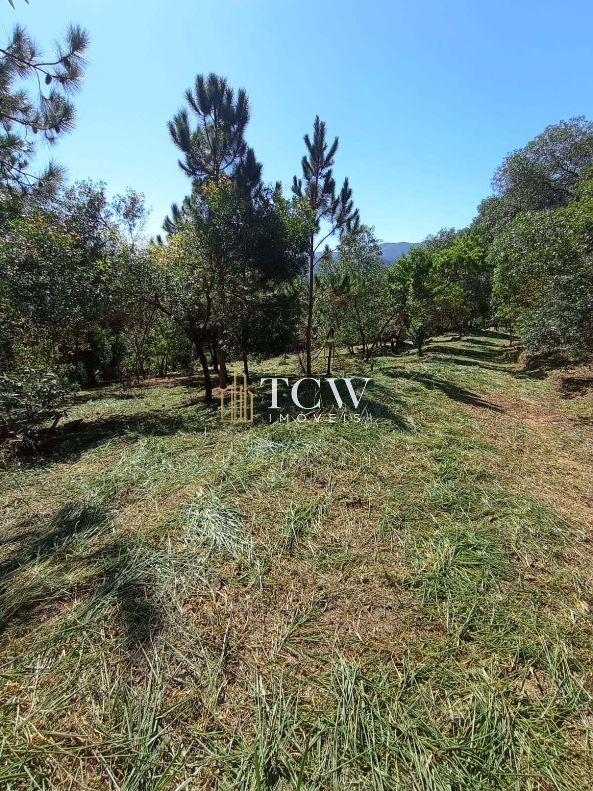 Terreno, 2 hectares - Foto 8