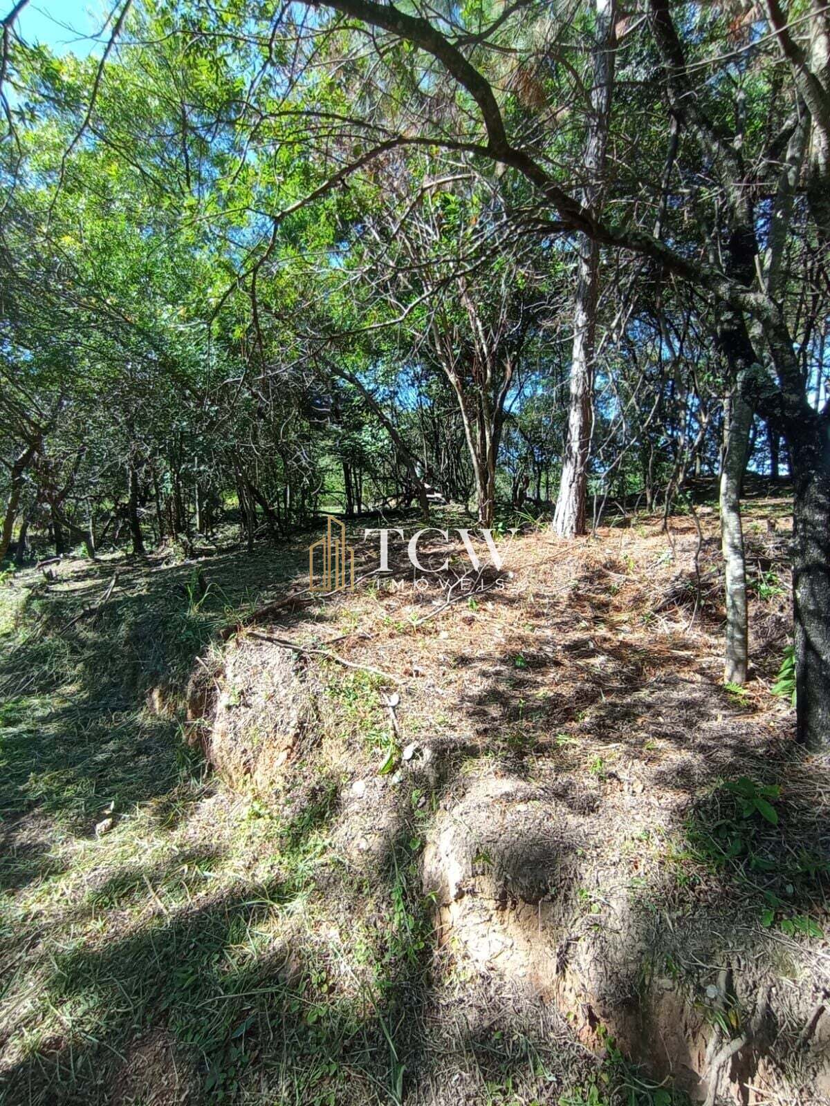 Terreno, 2 hectares - Foto 11