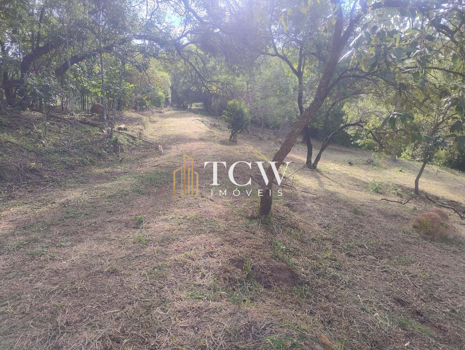 Terreno, 2 hectares - Foto 7
