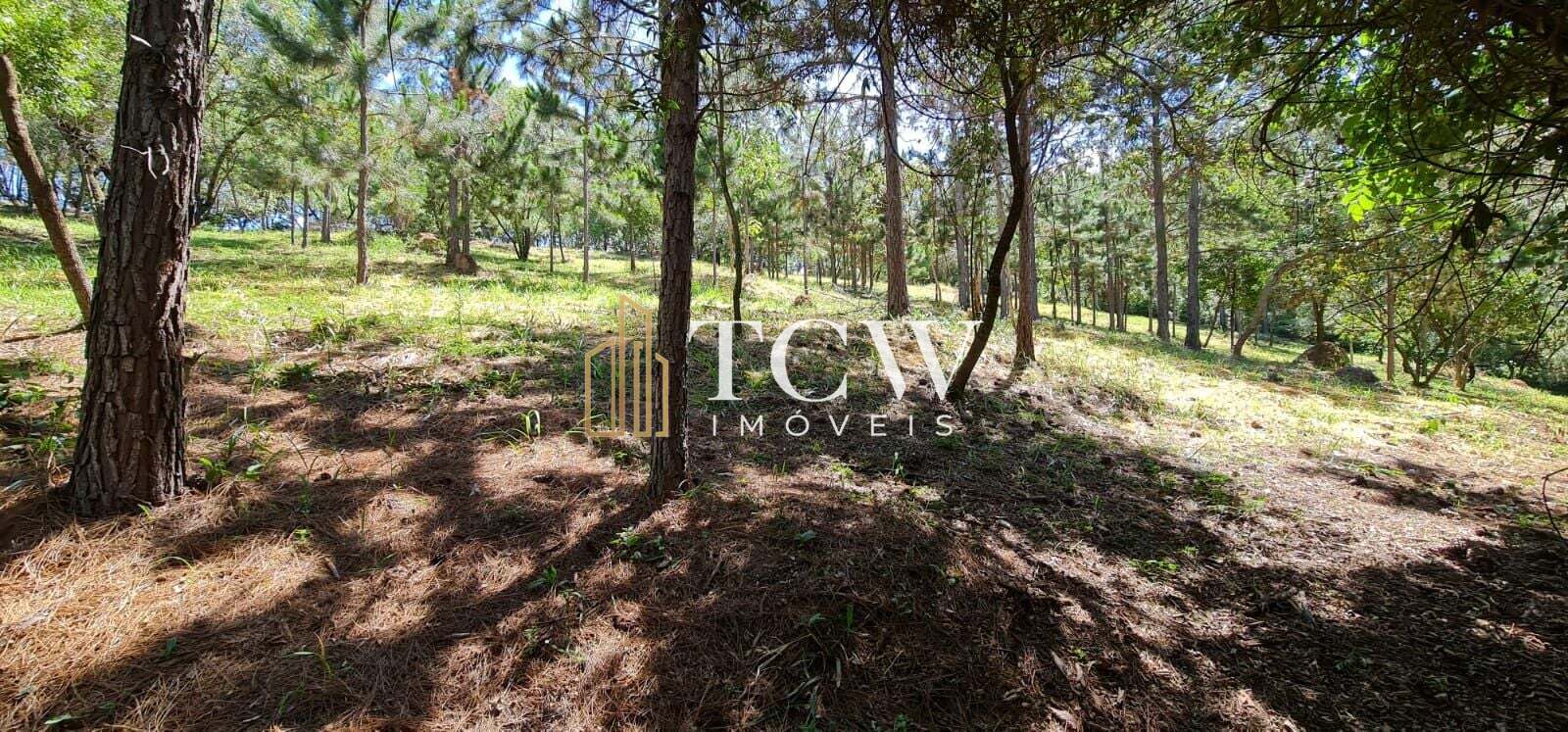 Terreno, 2 hectares - Foto 13