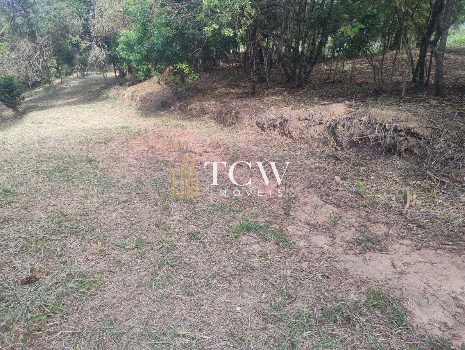 Terreno, 2 hectares - Foto 3