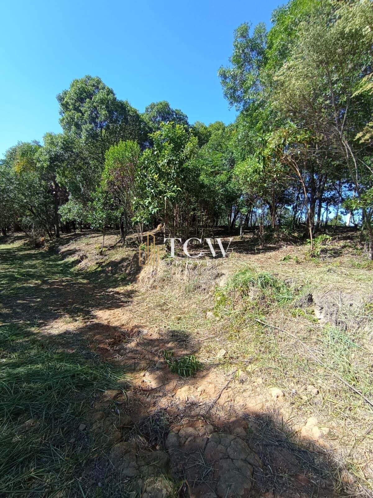 Terreno, 2 hectares - Foto 10
