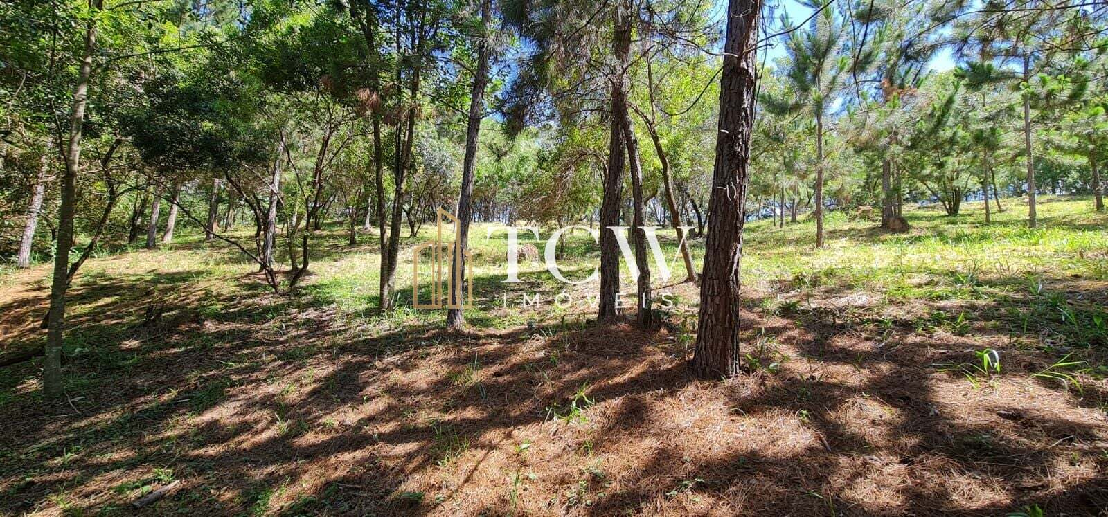 Terreno, 2 hectares - Foto 12