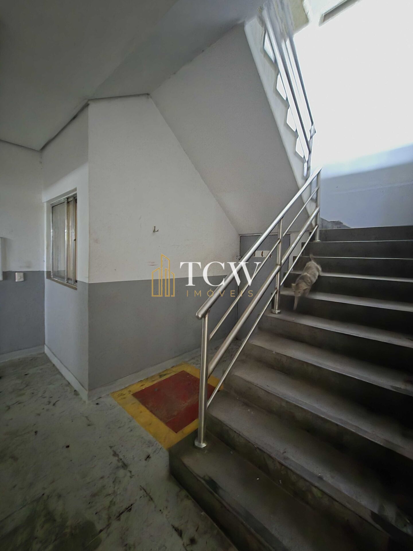 Depósito-Galpão, 2564 m² - Foto 21