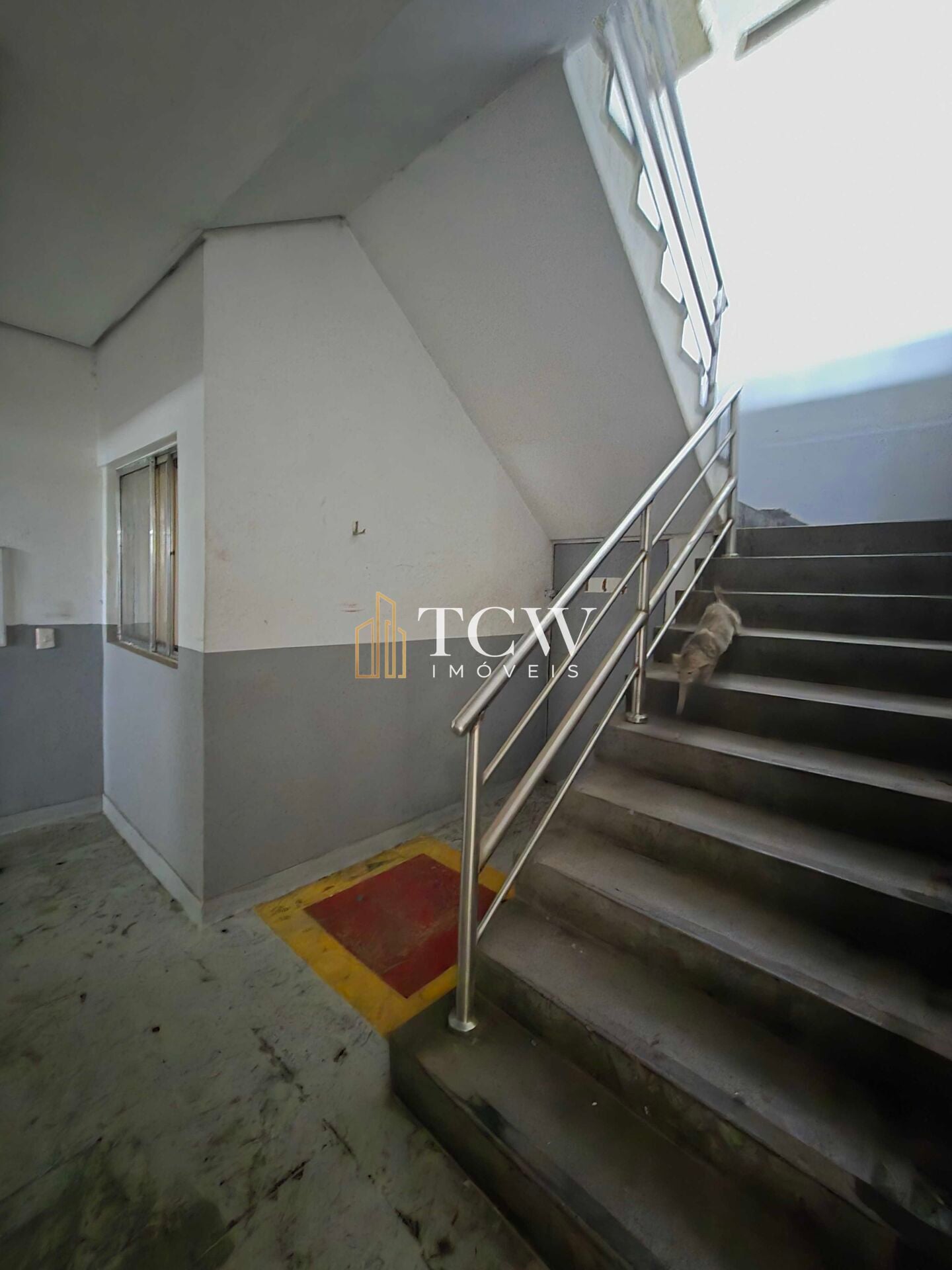 Depósito-Galpão, 2564 m² - Foto 21