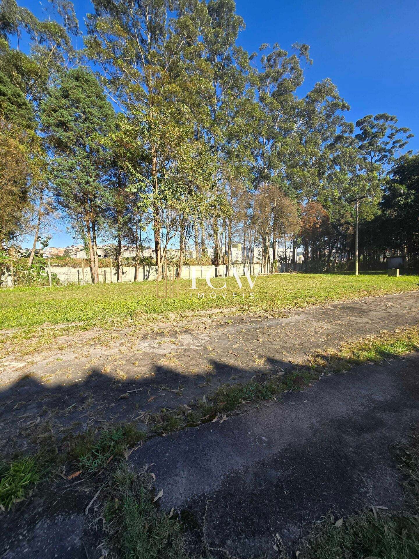 Depósito-Galpão, 5499 m² - Foto 19