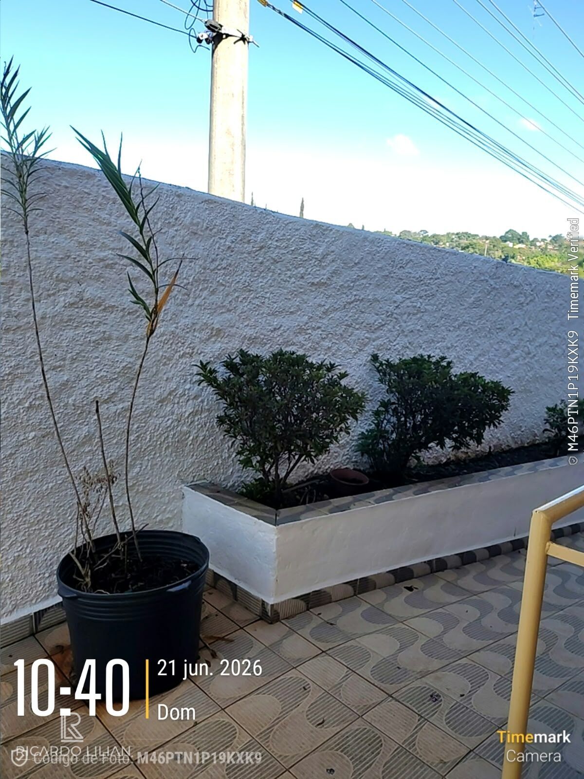 Casa, 4 quartos, 350 m² - Foto 32