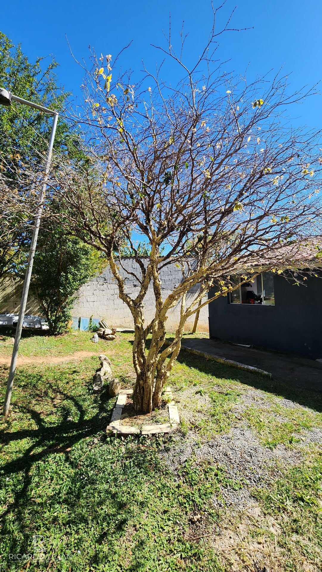 Chácara, 3 quartos, 1091 m² - Foto 28