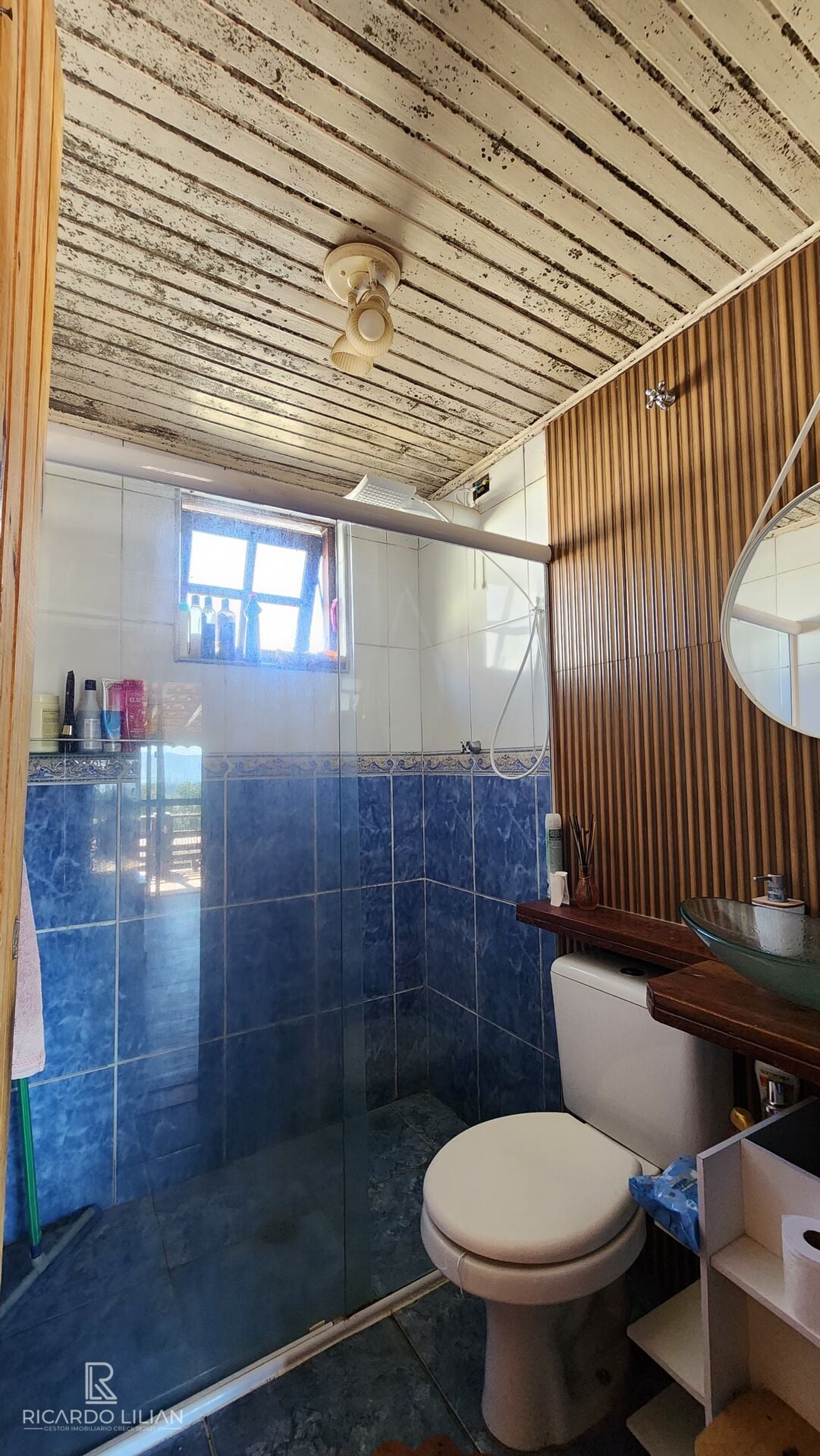 Chácara, 3 quartos, 1091 m² - Foto 14