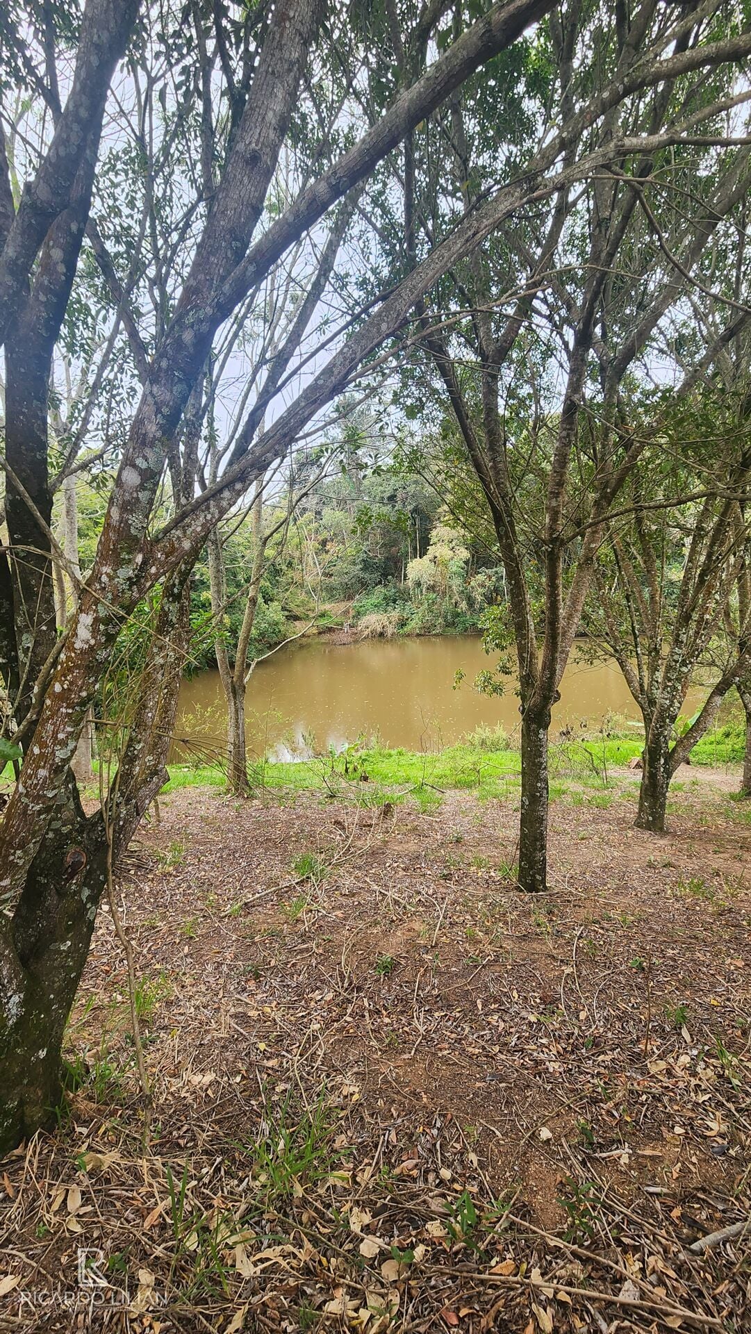 Sítio, 4 quartos, 5788 m² - Foto 35