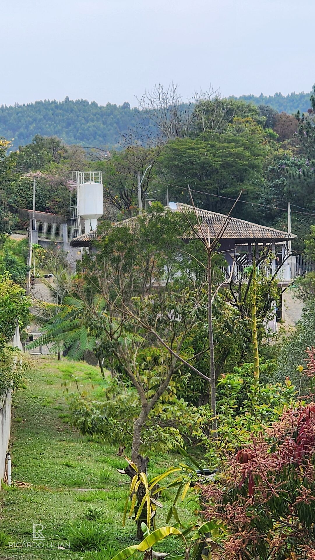 Sítio, 4 quartos, 5788 m² - Foto 38