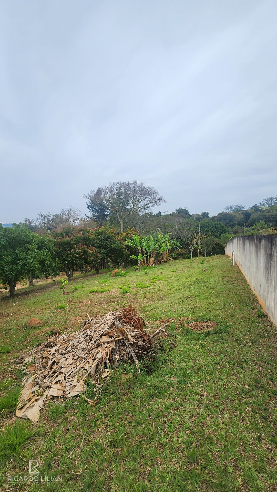 Sítio, 4 quartos, 5788 m² - Foto 32