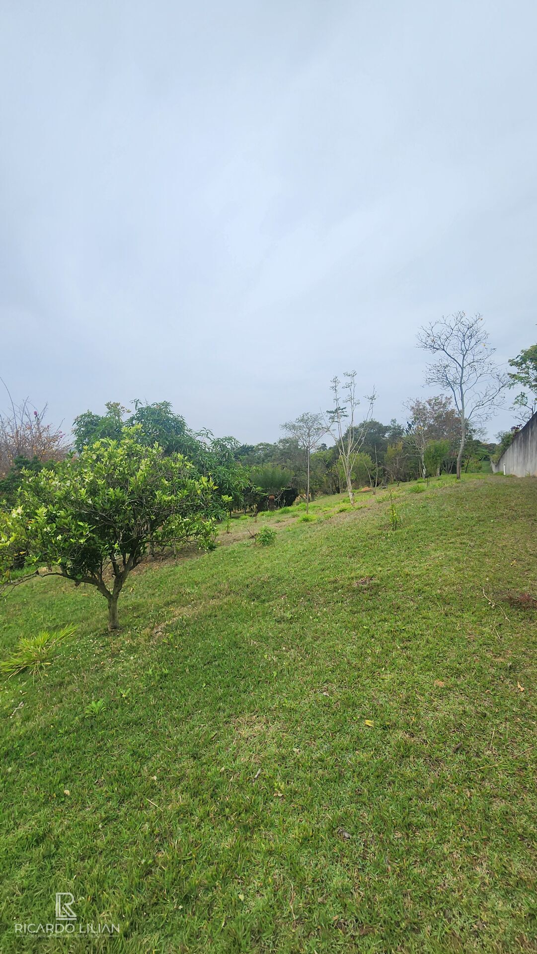 Sítio, 4 quartos, 5788 m² - Foto 28