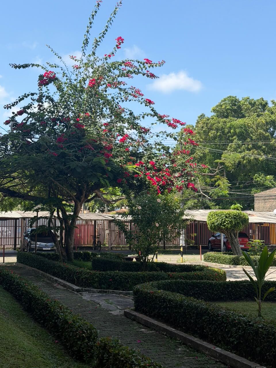 Apartamento, 3 quartos, 86 m² - Foto 5